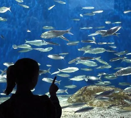 Au Calme Centre A 2 Pas Du Vieux Marche Lejlighed